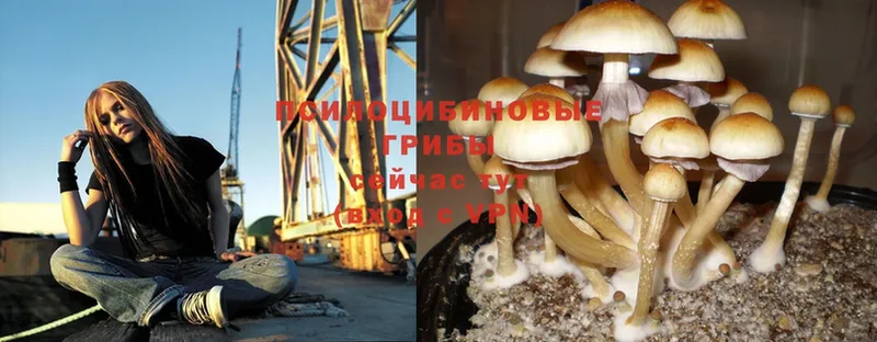 гидра онион  Пушкино  Галлюциногенные грибы MAGIC MUSHROOMS 